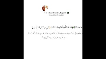 سورة الصف بصوت الشيخ رعد الكردي / Raad Al kurdi Whatsapp status with Urdu translation