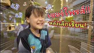 เซอร์ไพรส์เฌอแตม! หลังเลิกเรียน!! | แม่ปูเป้ เฌอแตม Tam Story