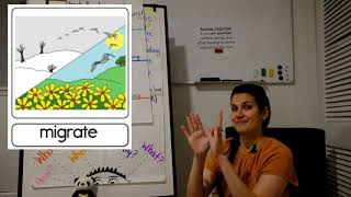 1st Grade Making Meaning Unit 7, Week 4, Lesson 1
