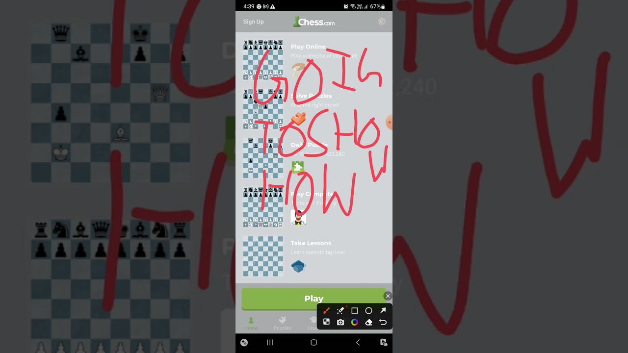 how to change the theme of chess