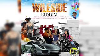 MORE MONEY - D-ASKEL  | WILESIDE RIDDIM | DRAYCITY RECORDS