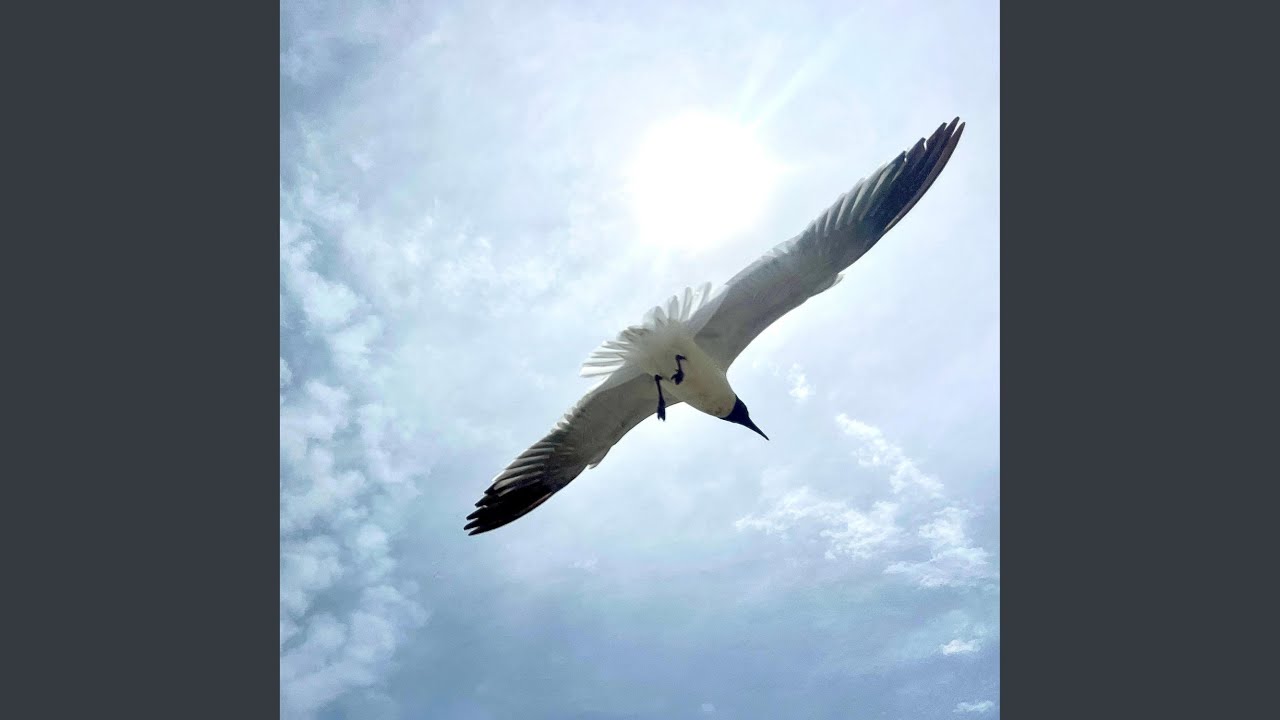 Watch Frontier on YouTube Watch Frontier on YouTube