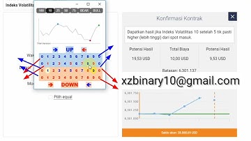 Binary.com Rise/Fall Simple Manual Trading Strategy | Last Digit Analyzer