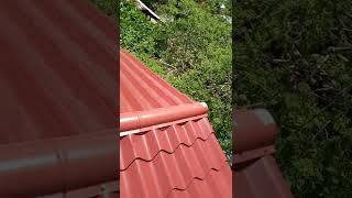 techos conlamina tipo teja