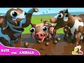 Episode Chubby Bubu Bath for Animals | Learn Animals Cartoon for Kids Nursery Rhymes | VovoKids