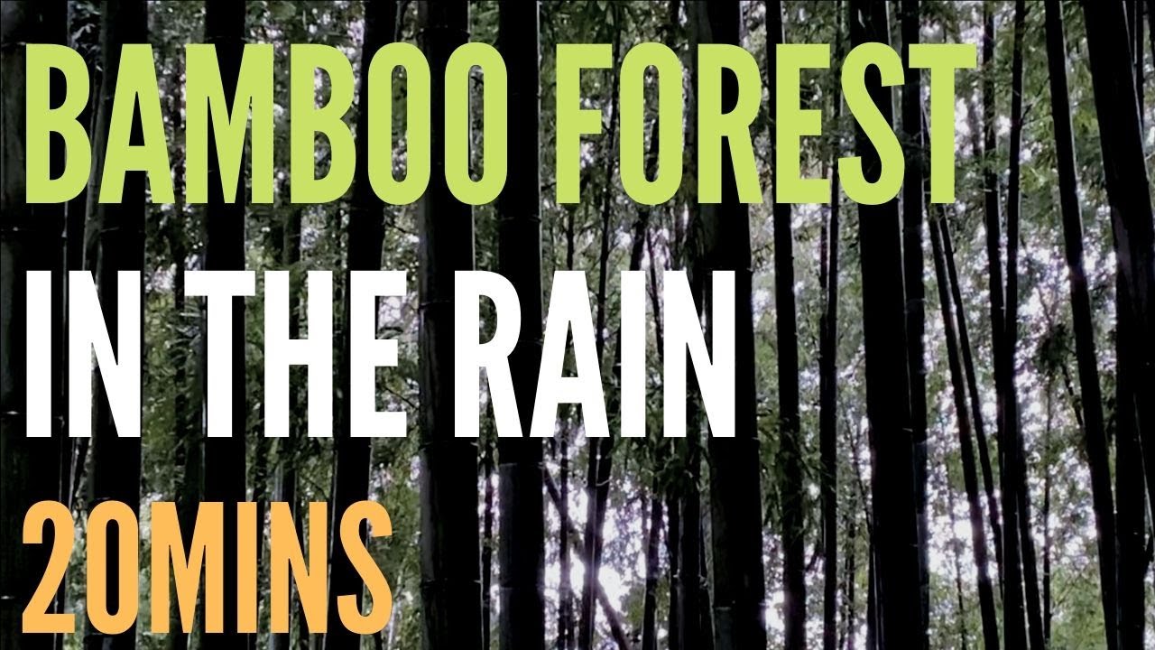 20 minutes of Rain Sounds and Rustling Bamboo leaves in the wind for sleep / relaxation