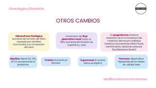 ENARM: PRENATAL CARE / GYNECOLOGY AND OBSTETRICS FOR THE ENARM 2026 screenshot 3