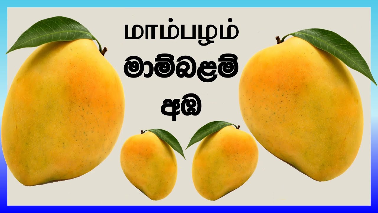 පලතුරු වර්ග දෙමළෙන් #Guruthumi