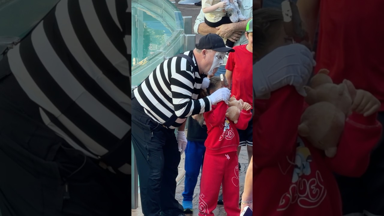 All eyes on Tom… waiting 😳Tom mime Seaworld 