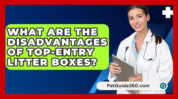 What Are The Disadvantages Of Top-entry Litter Boxes? - PetGuide360.com
