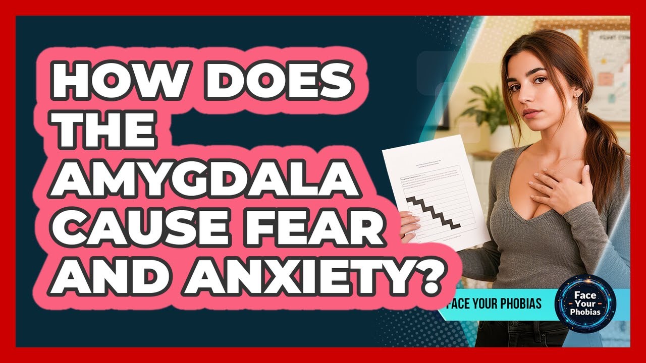 How Does The Amygdala Cause Fear And Anxiety? - Face Your Phobias - YouTube