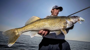 Jig Trolling Big Fish – Fishing Edge TV