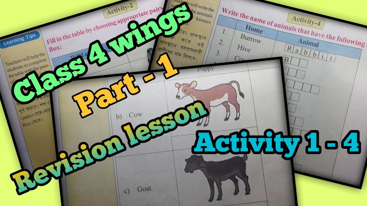 class 4 wings part 1 revision lesson activity 1- 4 solve , page 1- 4 ...