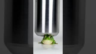 Mini Frog Under Hydraulic Press