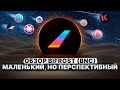 ОБЗОР BIFROST (BNC). БУДУЩИЙ КРУПНЕЙШИЙ УСПЕХ ИЛИ ВСЕ ЖЕ ПРОВАЛ❓❗