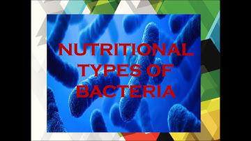 Nutritional types of Bacteria #Microbiology #AutotrophicHeterotrophicbacteria #OrganotrophLithotroph