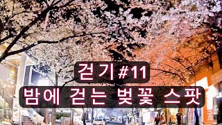조금 늦어버린 밤에 걷는 벚꽃 스팟!! - 합정역 5번출구