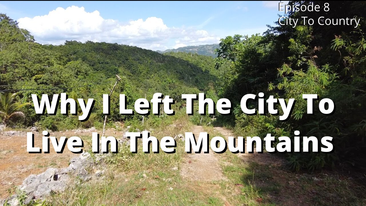 WHY I LEFT THE CITY TO LIVE IN THE MOUNTAINS OF JAMAICA