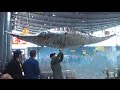 Flying devil fish manta ray and flying dolphins  modell sd stuttgart 2016