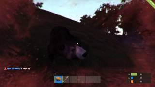 Rust Bear Attack