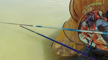 Buổi câu cá thực tế tại lòng hồ TRỊ AN mừa nước rút 2