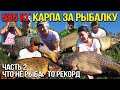 Клюют одни монстры. Что не рыба - то рекорд. Капрфишинг. Часть 2я