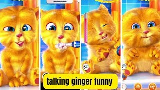 My Talking Ginger😻😻|Tooth brushing Timer🧭😁🪥|Having Fun🥳🥳🙀|Viral video✌️📺|