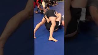 Von Flue Choke from inside the guard #shorts