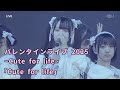 「Cute for life」 / 2025 ~Cute for life~ Supported by KOJI / 高嶺のなでしこ