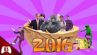 2016 In A Nutshell Every Memetrend Of 2016