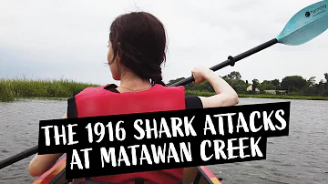 ¿Qué tipo de tiburón había en Matawan Creek?