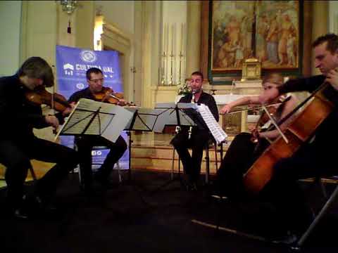 Mozart Clarinet Quintet  K581 in A    1-Allegro