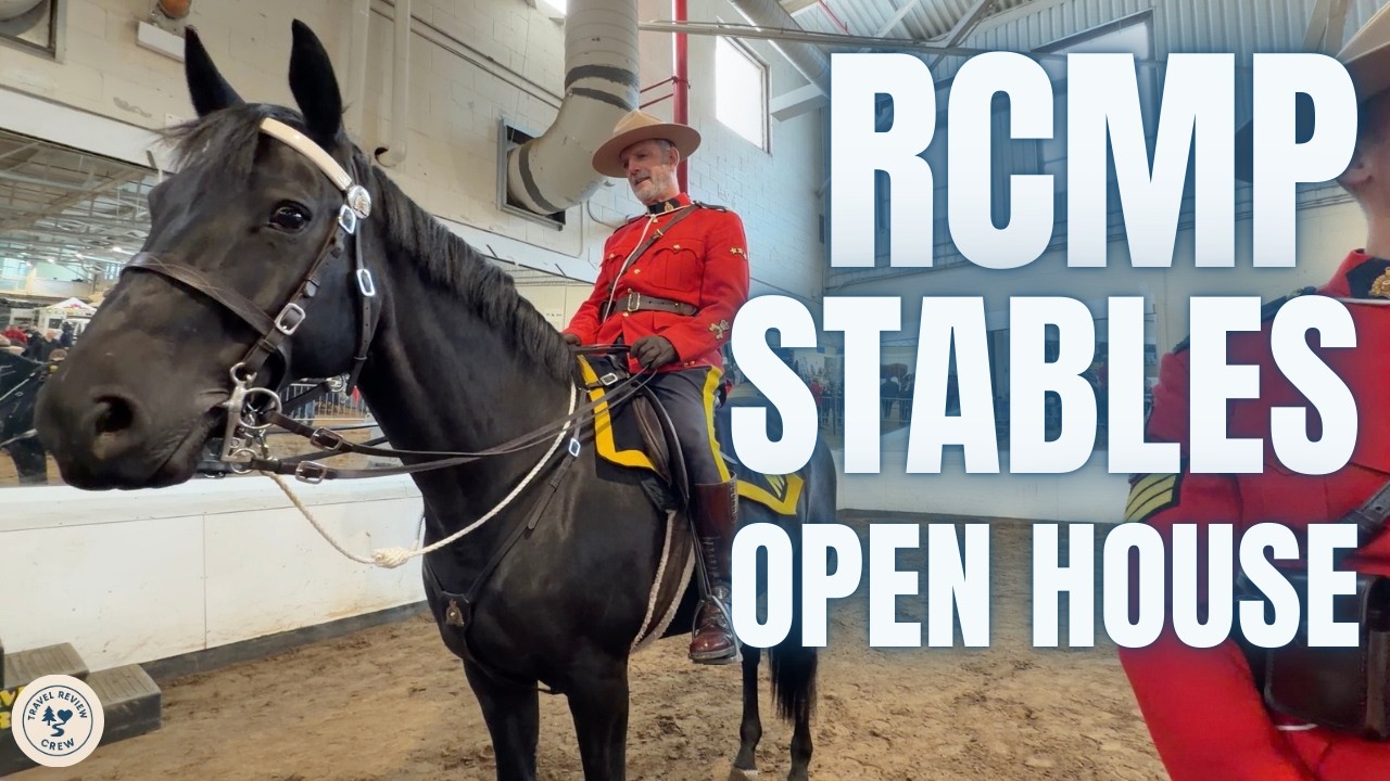 RCMP Musical Ride Open House Ottawa | Inside the Stables & Parade Horses