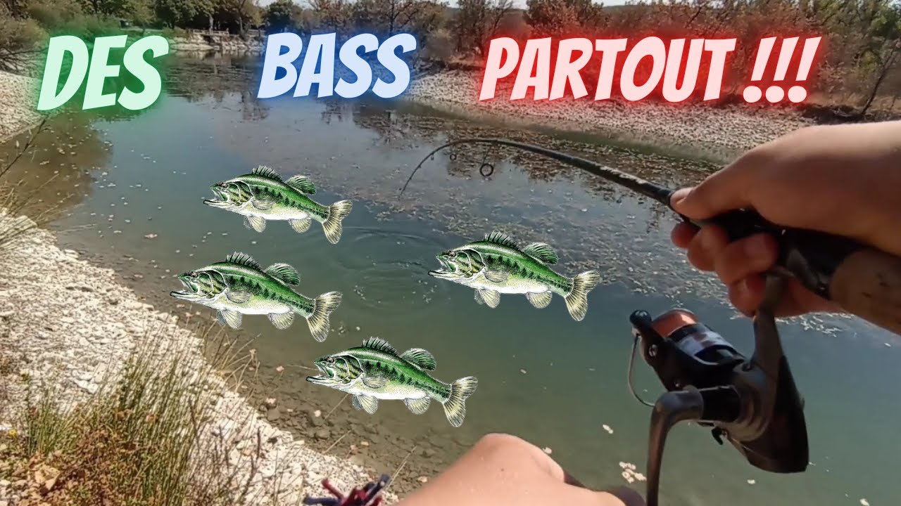 Popper Pour Black Bass Pêche à La Mouche | 10 Poppers De Pêche Sèche