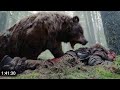 فيلم العائد صراع الوحوش في الغابات The Revenant 