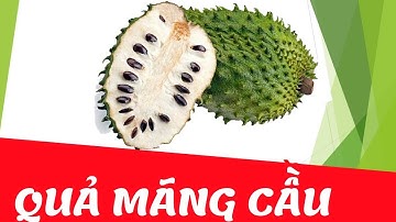 Dạy bé học nhận biết các loại trái cây tiếng việt | Quả bưởi, quả táo, quả cam, quả nho, quả lê