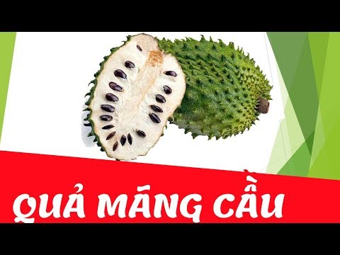 Video Dạy bé học nhận biết các loại trái cây tiếng việt |... - youtube