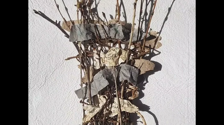 Posy of secrets 2022, Julie Hooker