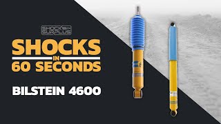 Shocks in 60 Seconds Bilstein 4600