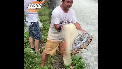 Hướng dẫn sử dụng X2000