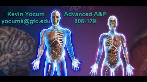 How To Use PhysioEx: Advanced A&P