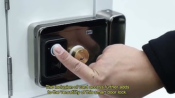 Review Tuya Wifi Smart Door Lock APP Remote Control TTlock Bluetooth Fingerprint 2024