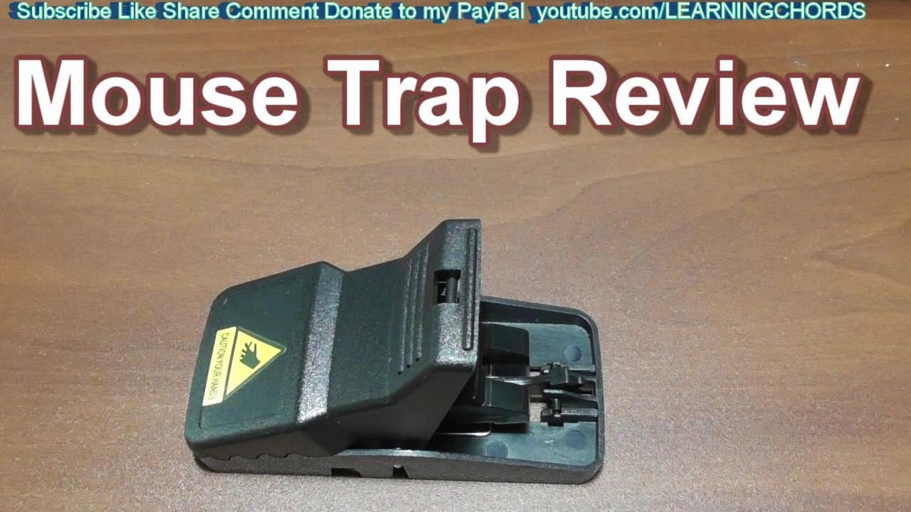  Feeke Mouse Traps, Mice Traps for House, Small Mice