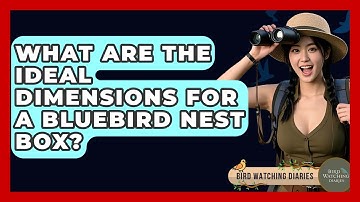What Are The Ideal Dimensions For A Bluebird Nest Box? - Bird Watching Diaries