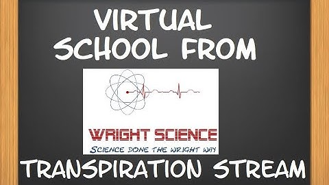 B2.2.5 - Transpiration Stream - Y9 Combined