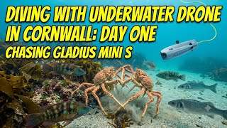 Exploring Cornwall’s Hidden Marine Life with the Chasing Gladius Mini S | DAY ONE