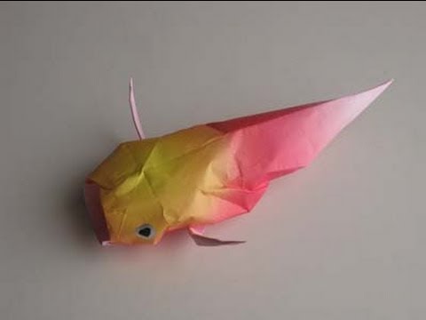 Contact Us At Origami Instructionscom