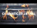 Cinematic bbq b roll  inspired by daniel schiffer