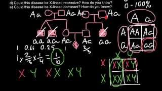 Complete explanation how to solve Pedigree problems