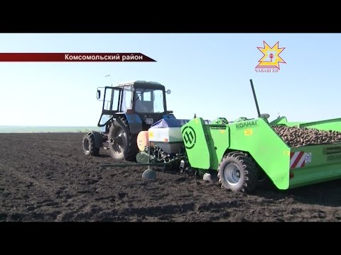 На полях одной